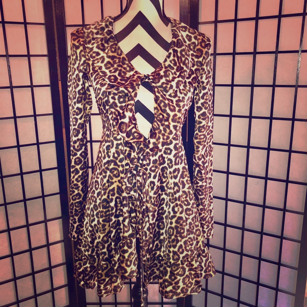 Leopard Print Dress